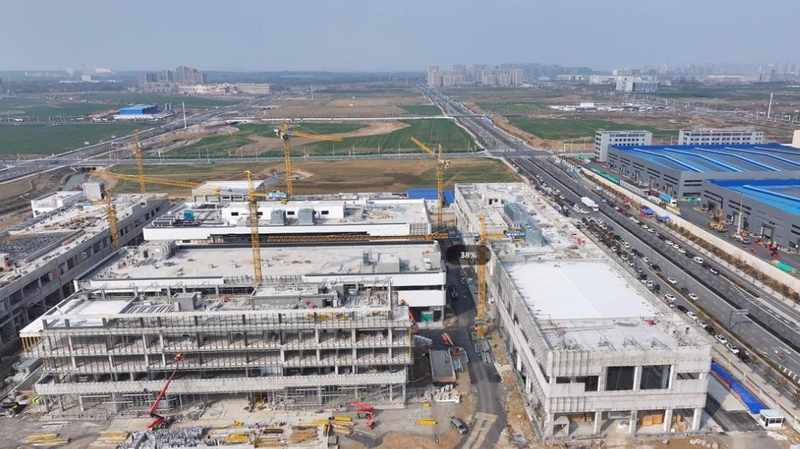  蚊媒防治的“技术围城”：从实验室数据看普通人的避险指南 健康养生