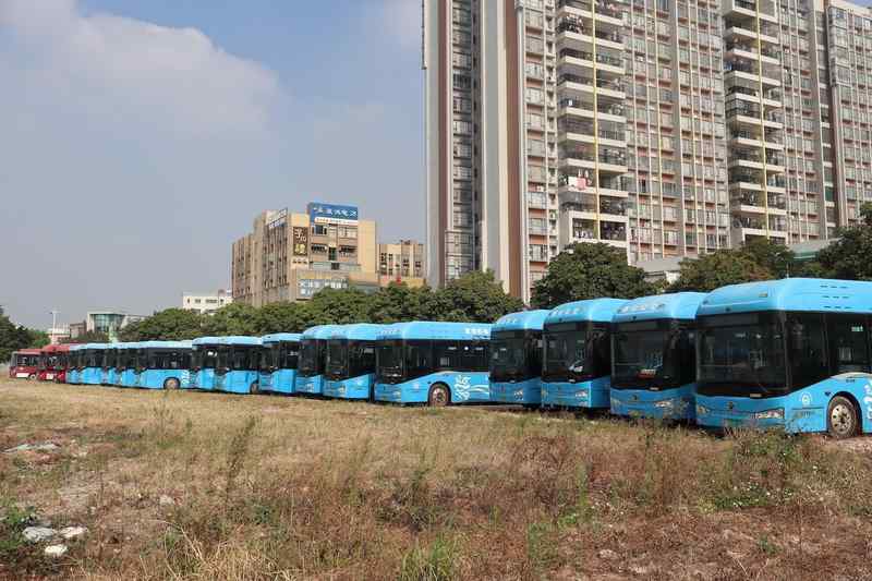  蚊媒防治的“技术围城”：从实验室数据看普通人的避险指南 健康养生