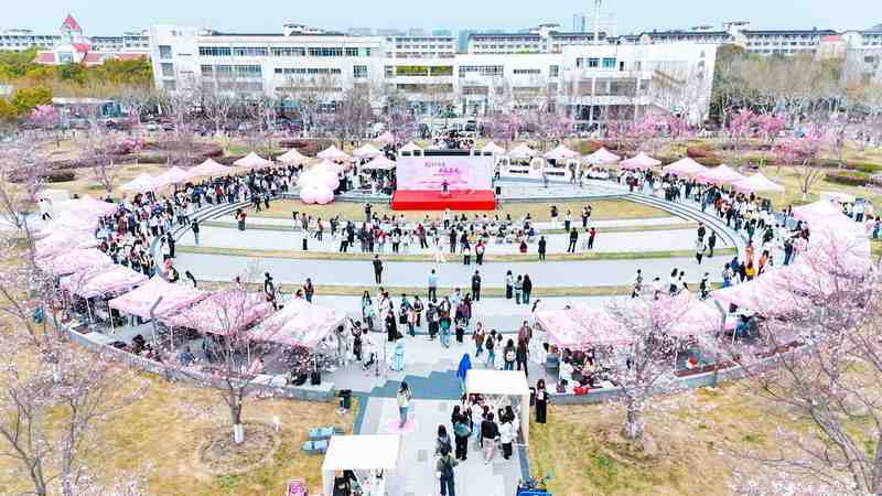  当樱花遇见青春：一场让无数人重新爱上校园的春日约会 文化旅游