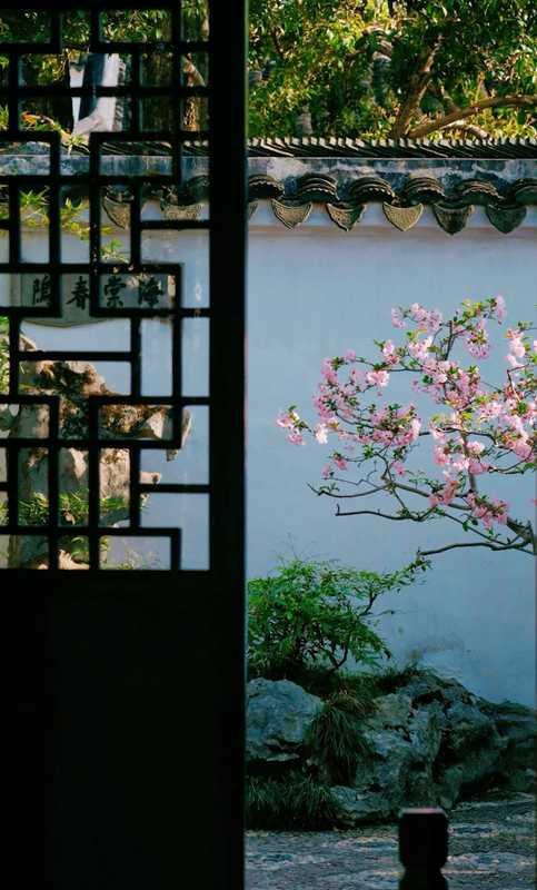  苏州旅行实战复盘：基于动线优化的两日游核心逻辑与避坑指南 文化旅游