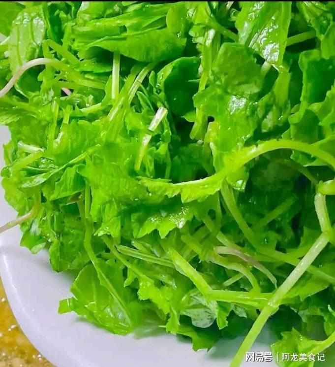  谷雨养生深度解析：萝卜秧苗的生物活性成分与烹饪温度控制技术 健康养生