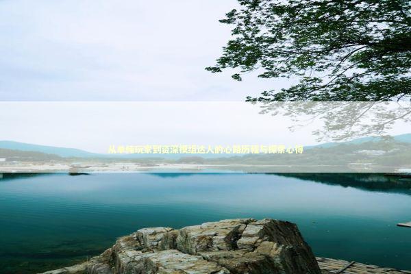 从单纯玩家到资深模组达人的心路历程与探索心得 游戏攻略