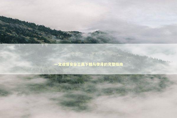 一文读懂安全工具下载与使用的完整指南 IT技术