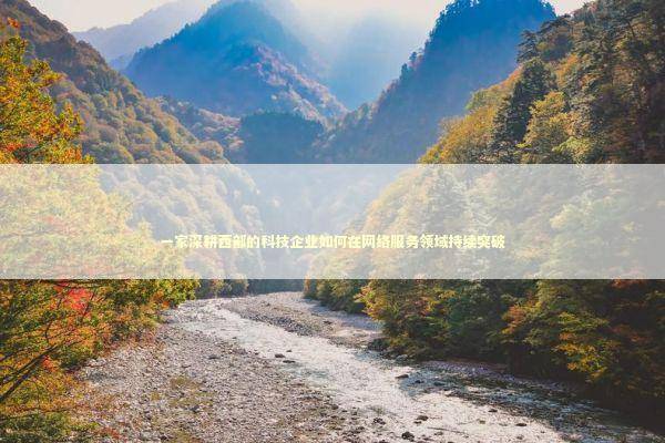 一家深耕西部的科技企业如何在网络服务领域持续突破