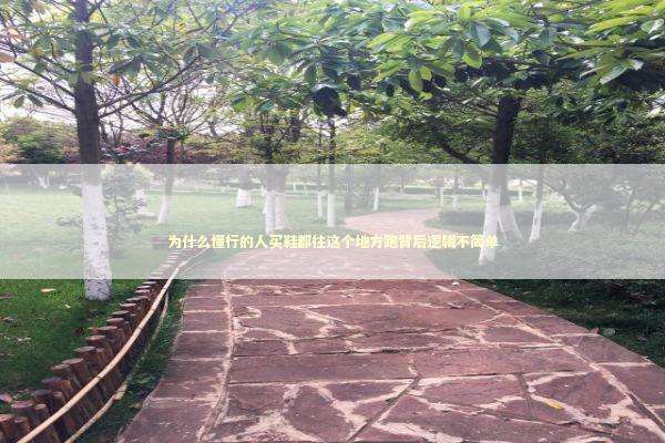 为什么懂行的人买鞋都往这个地方跑背后逻辑不简单