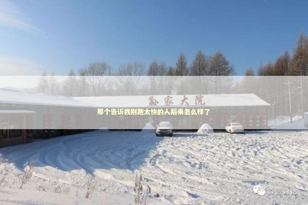那个告诉我别跑太快的人后来怎么样了 IT技术
