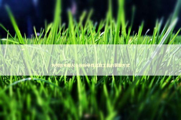 为何技术圈人士纷纷寻找这款工具的获取方式 IT技术