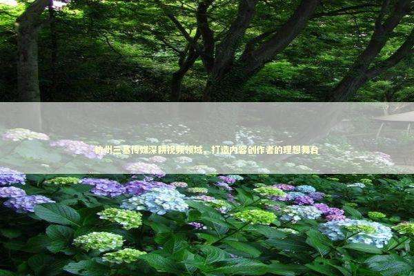 杭州三基传媒深耕视频领域，打造内容创作者的理想舞台