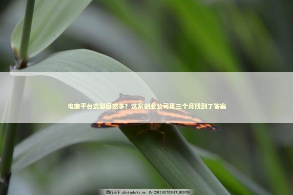 电商平台选型困惑多？这家创业公司用三个月找到了答案